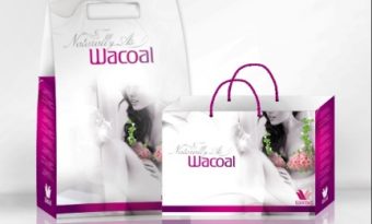 lua chon hinh anh cho tui giay_01