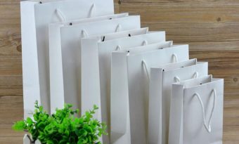 in tui giay kraft trang_01