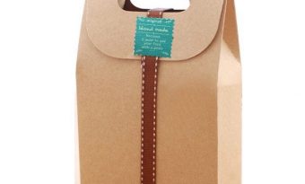 thiet ke in tui giay co nap_01