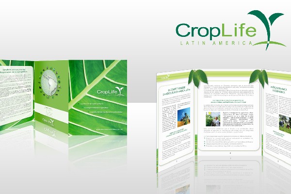 Vì sao in brochure là sự lựa chọn không thể bỏ qua của doanh nghiệp? Vì sao in brochure là sự lựa chọn không thể bỏ qua của doanh nghiệp?